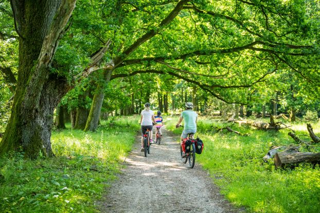 Naturpark-Erlebniswochen: Energie-Hunger-Fahrradtour, &copy; Bispingen Touristik e.V./Markus Tiemann