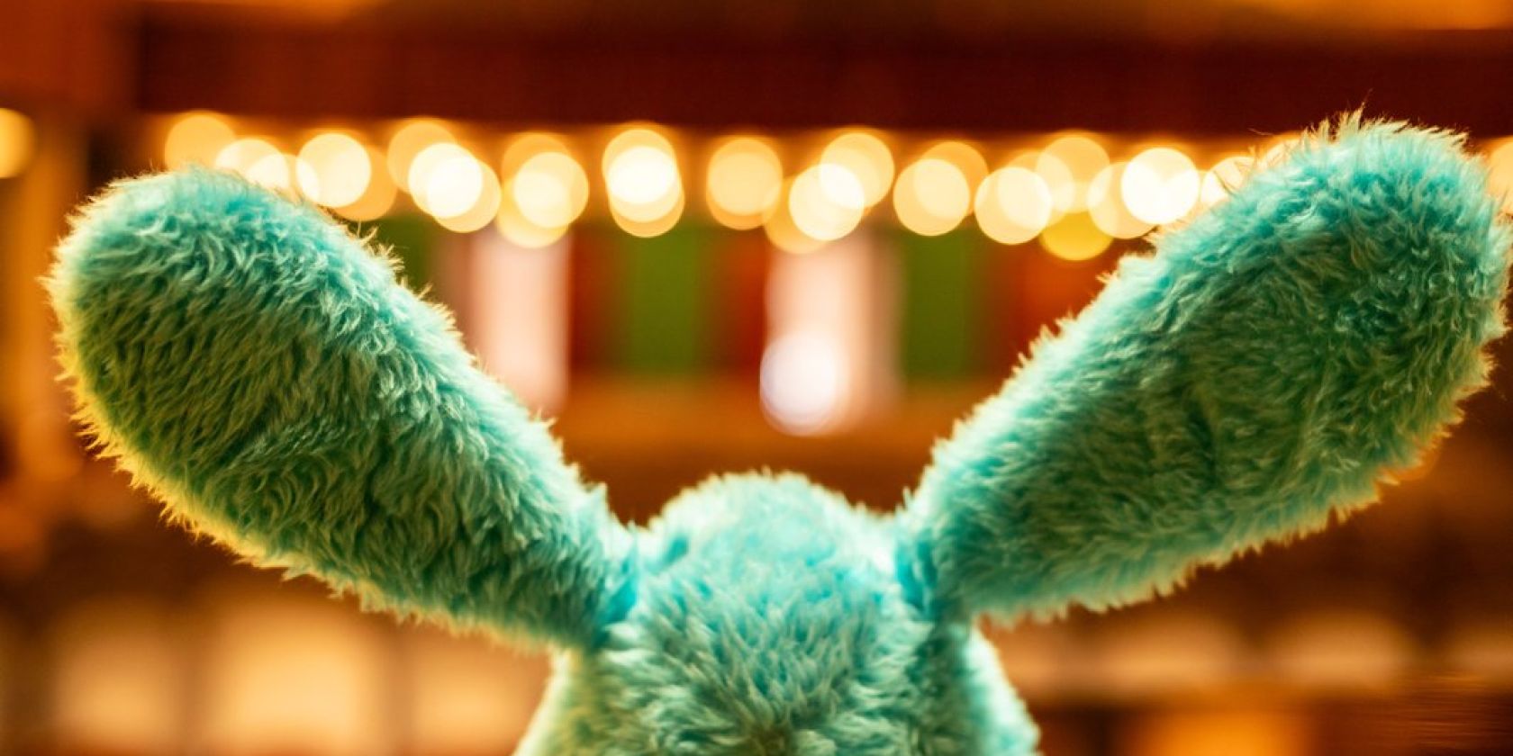 Hasi-Konzert, &copy; Cove Nouveau