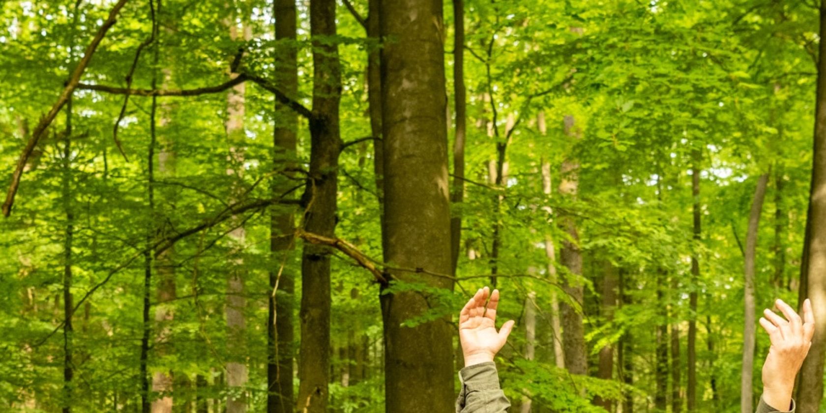 Heideregion Uelzen-2023-269-Wald Lintzel-Wanderung mit Volker Einhorn-©HeideRegion Uelzen e. V., Dominik Ketz, © HeideRegion Uelzen e. V., Dominik Ketz