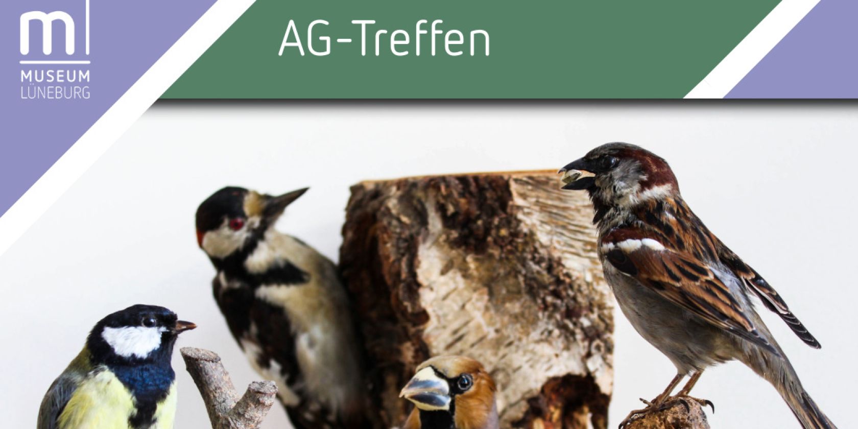 , &copy; Museum L&uuml;neburg