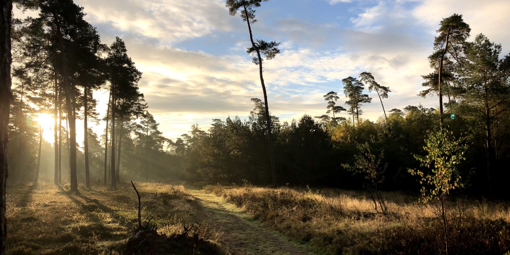 Wir pflanzen neuen Wald, &copy; Frank Heesch