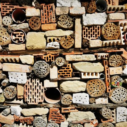 Insektenhotels bauen, © Doreen Voß