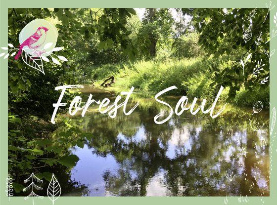 Auszeit im Wald -Forest Soul, waldimpuls-hamburg, &copy; claudia.keil@gmx.de