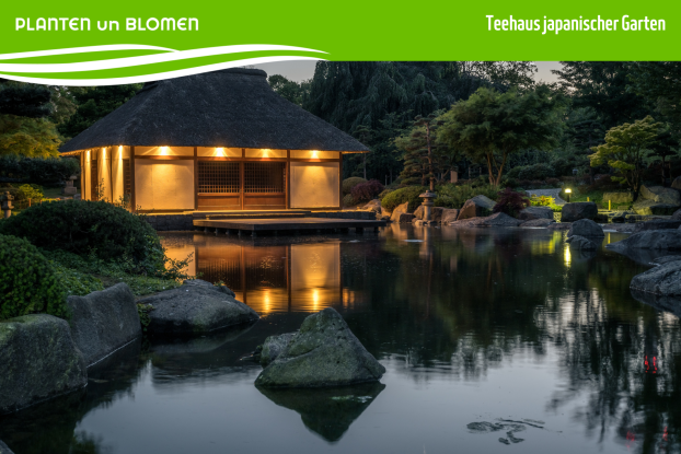 Teeausschank im Teehaus im Japanischen Garten, © Kerstin Bittner
