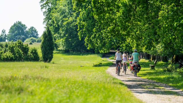 Gef&uuml;hrte Radtouren durch die L&uuml;neburger Heide buchen, &copy; Bispingen Touristik, Markus Tiemann