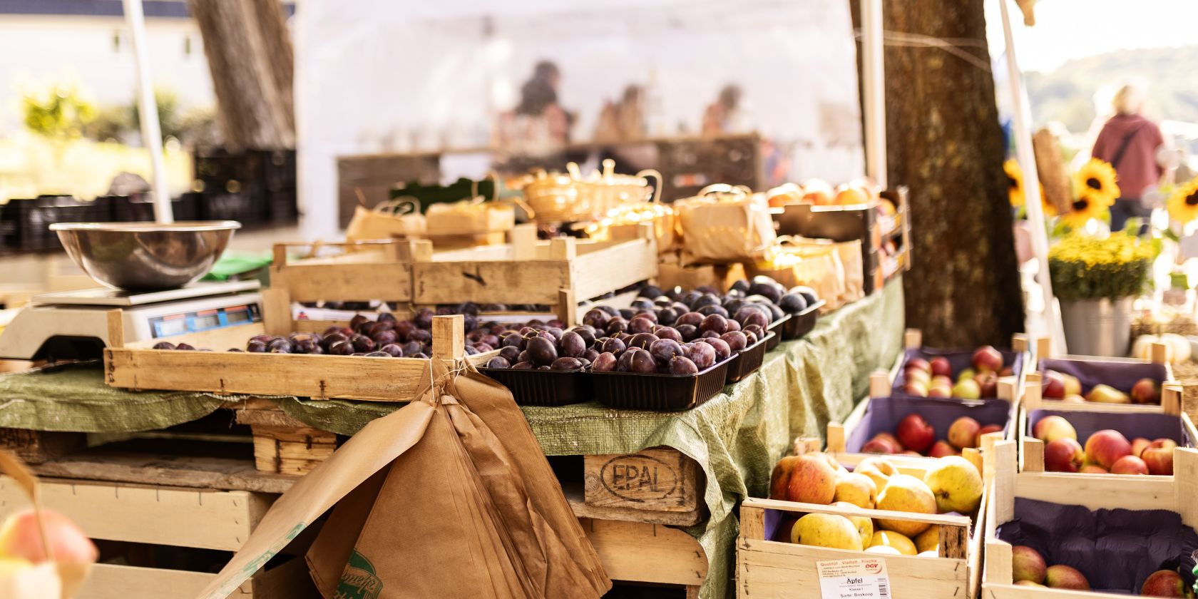Wochenmarkt in Malente, &copy; MaTS GmbH - Anne Weise