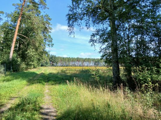 Der CCT feiert die 1. Festsitzung Karneval, &copy; Sabine Wittkopf