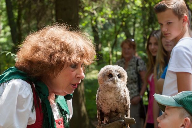 Greifv&ouml;gel aus n&auml;chster N&auml;he, &copy; Bispingen Touristik e.V.