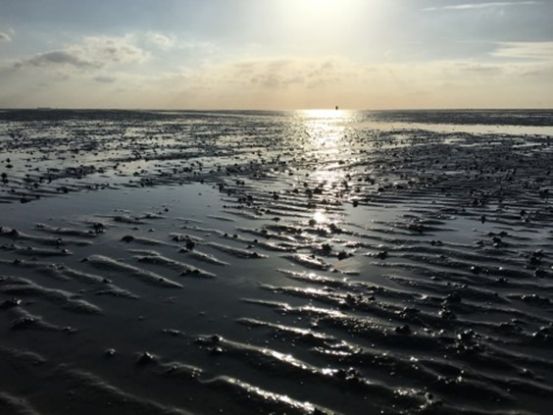 Wattspaziergang, &copy; NPH