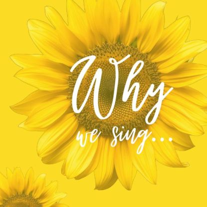 Sonnenblumen auf gelben Hintergrund, &copy; Nicole Fuhrmann
