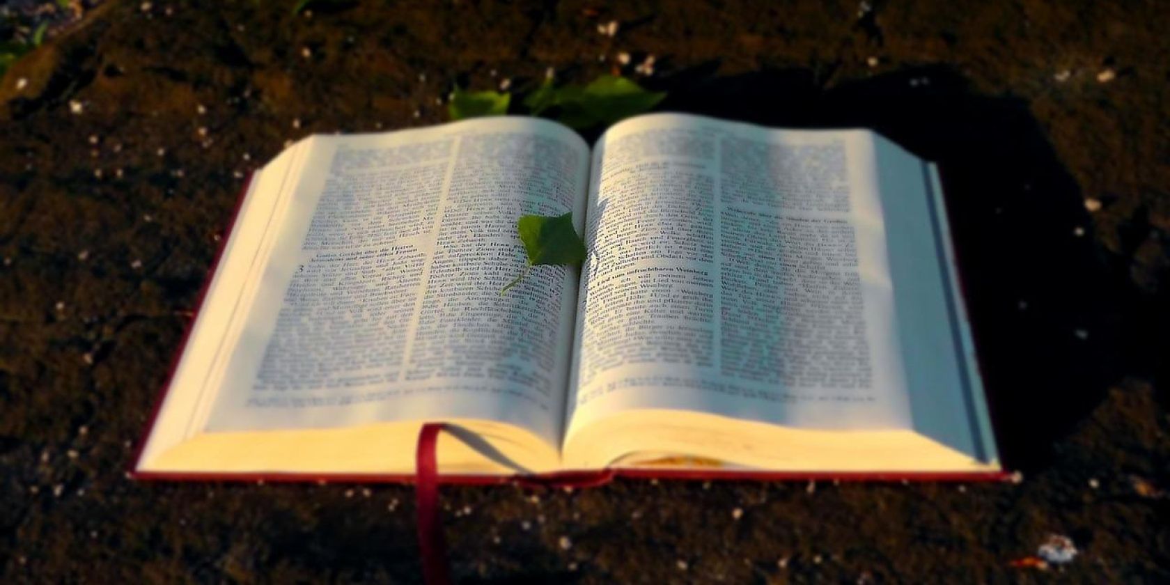 Aufgeschlagenes Buch, © Bild von Holger Schué auf Pixabay