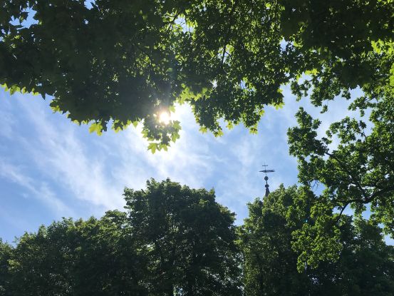 Sonne und Kirchturmspitze, &copy; eigenes Bild