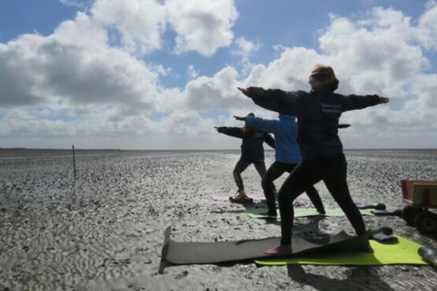 Watt-Yoga, © Nationalpark-Haus Wurster Nordseeküste