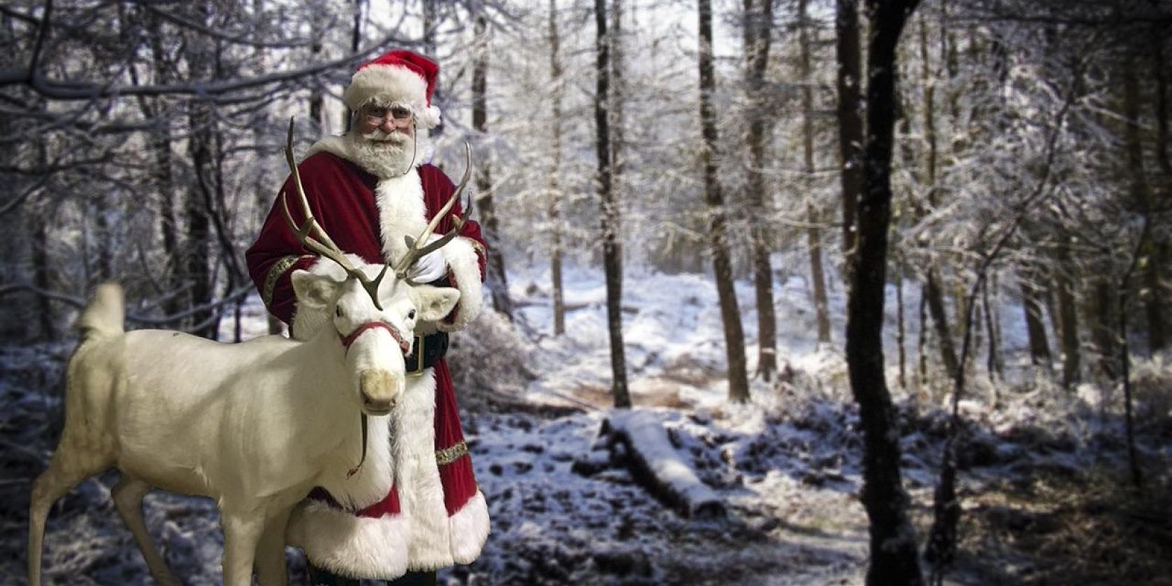 Bild von Ron Porter auf Pixabay, &copy; Bild von Ron Porter auf Pixabay