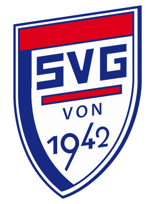 SVG-Logo