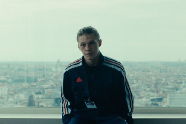 wild_foxes_grandfilm_, &copy; https://grandfilm.de/wild-foxes/