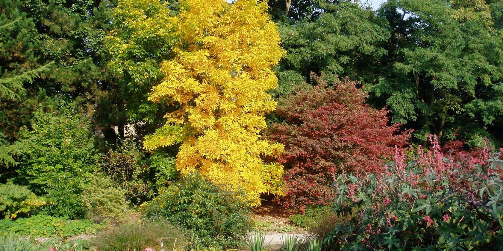 Herbst im Garten, &copy; Helge Masch