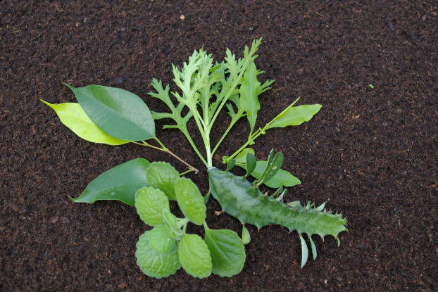 Unbenannt, &copy; Helge Masch