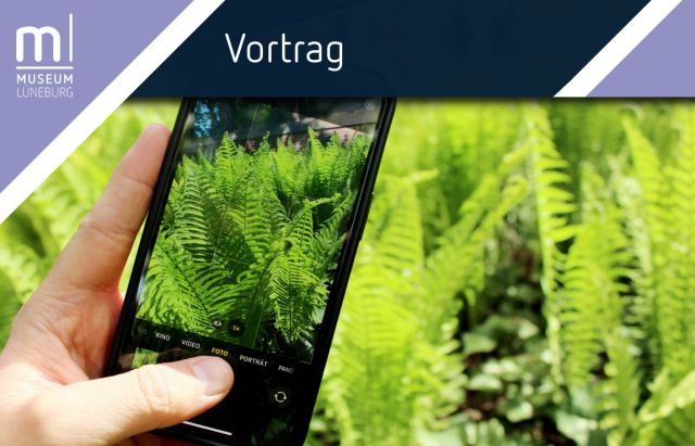 Vortrag: Insekten per App bestimmen, © Museum Lüneburg