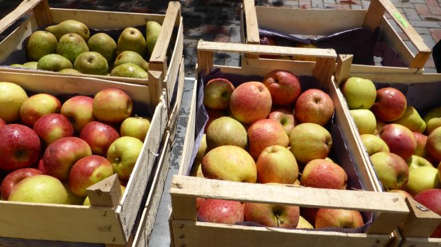 wochenmarkt-bad-bodenteich-foto-kurverwaltung-ccby-4, © Kurverwaltung Bad Bodenteich, T.Nowotny