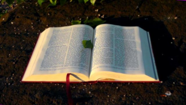 Aufgeschlagenes Buch, © Bild von Holger Schué auf Pixabay