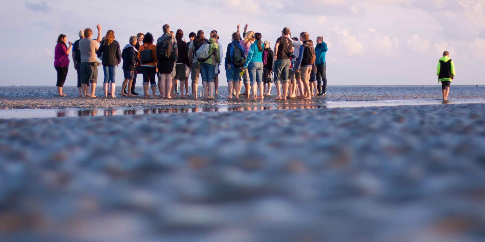 Wattwanderung in Friedrichskoog, &copy; Schutzstation Wattenmeer e.V.