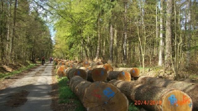 Gef&uuml;hrte Fahrradtour mit der Urlaubsregion Ebstorf e.V., Quelle: Reservix