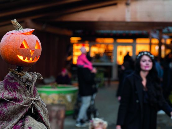 Halloween im Wingster Waldzoo, &copy; Bastian Hilk, Tourismus GmbH Wingst