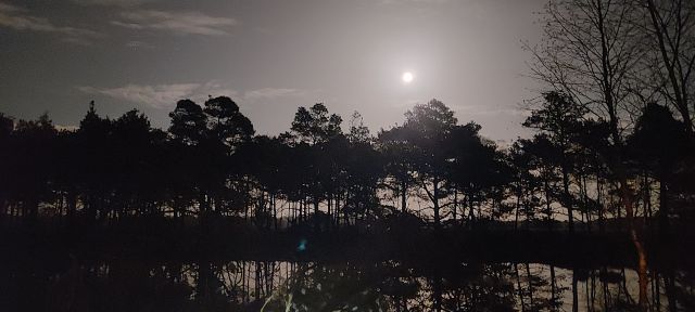 Vollmondwanderung auf dem Heidschnuckenweg, © Schneverdingen Touristik