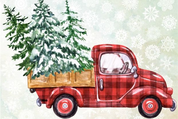 25-12-12 Ahrensburger Tannenzauber @gemeinfrei, © gemeinfrei