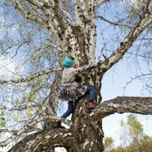 Als die Großen den Wald zerstörten, © links im Bild