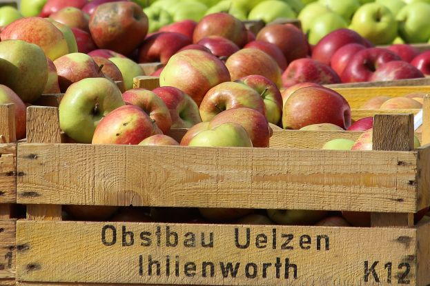 Wochenmarkt auf dem Gro&szlig;neumarkt, &copy; Pixabay