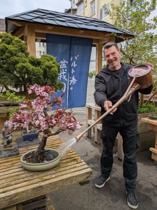 Sven Wagenknecht bei Bonsai-Arbeiten, &copy; Sven Wagenknecht