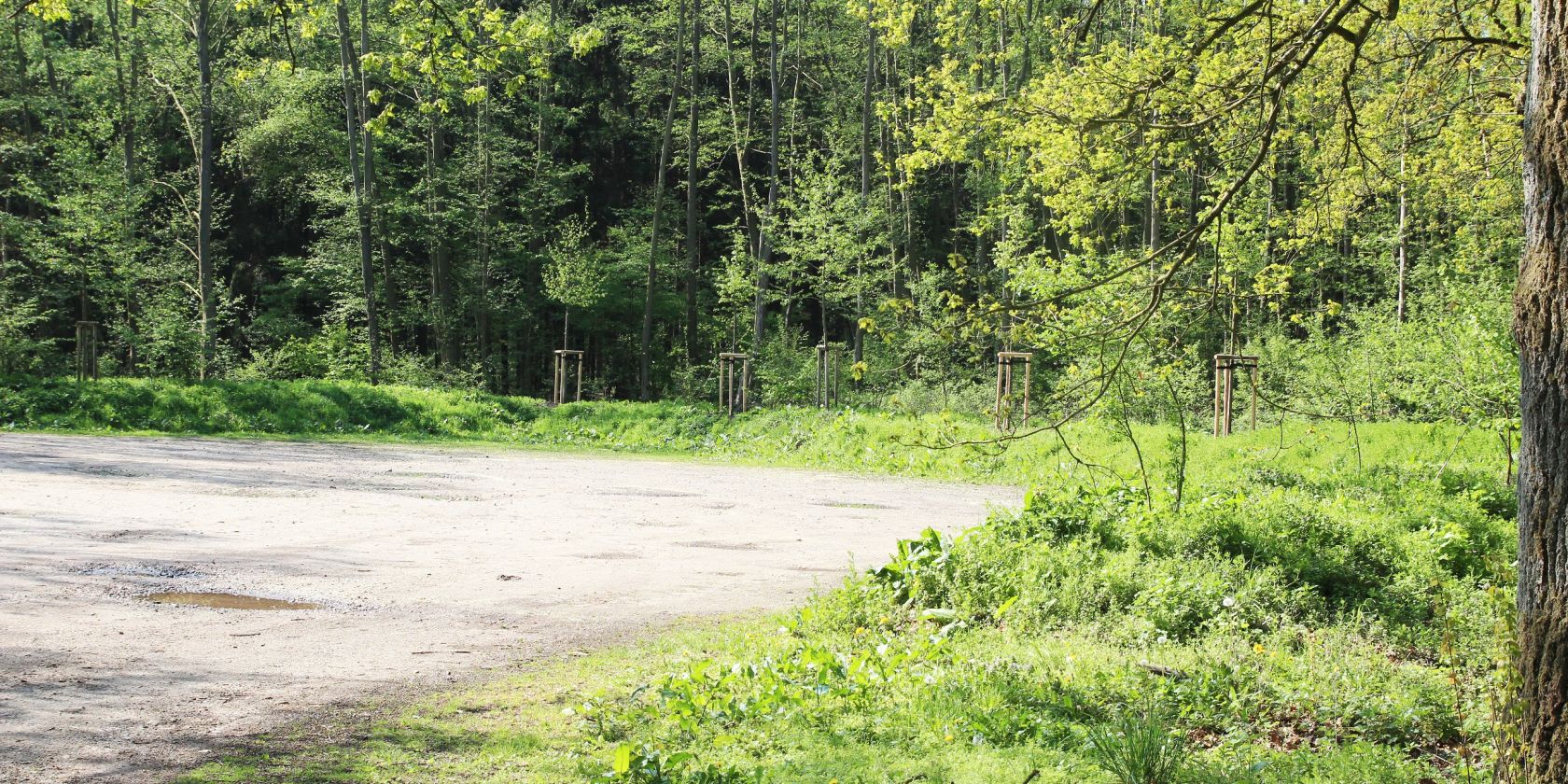 Parkplatz Birkengrund, &copy; Heike Stange