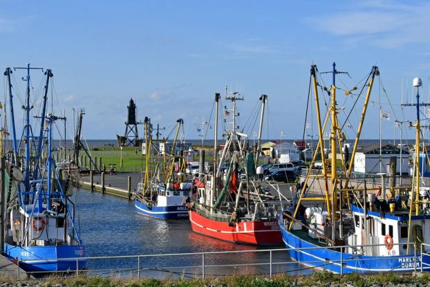 Floh-und Tr&ouml;delmarkt am Dorumer Kutterhafen, &copy; Ulich