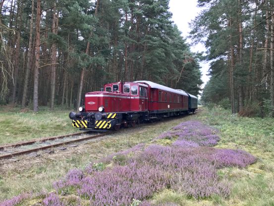 Mit der Bleckeder Kleinbahn in die Hansestadt L&uuml;neburg, &copy; Partner der L&uuml;neburger Heide GmbH, AVL e.V.