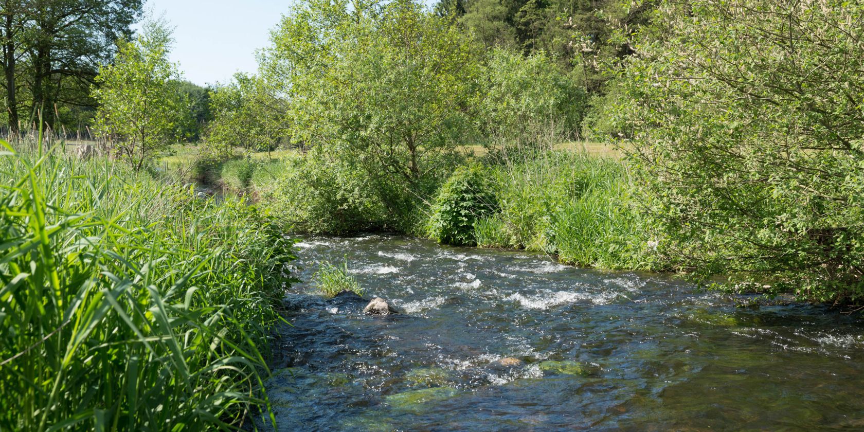 foto fuehrung rantzautal 1, © Naturpark Aukrug