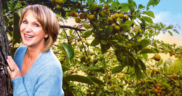 Pressebild Musiktransfair Sabine Kaack Mirabellengeist Foto Boris Wittgefe, &copy; Boris Wittgefe