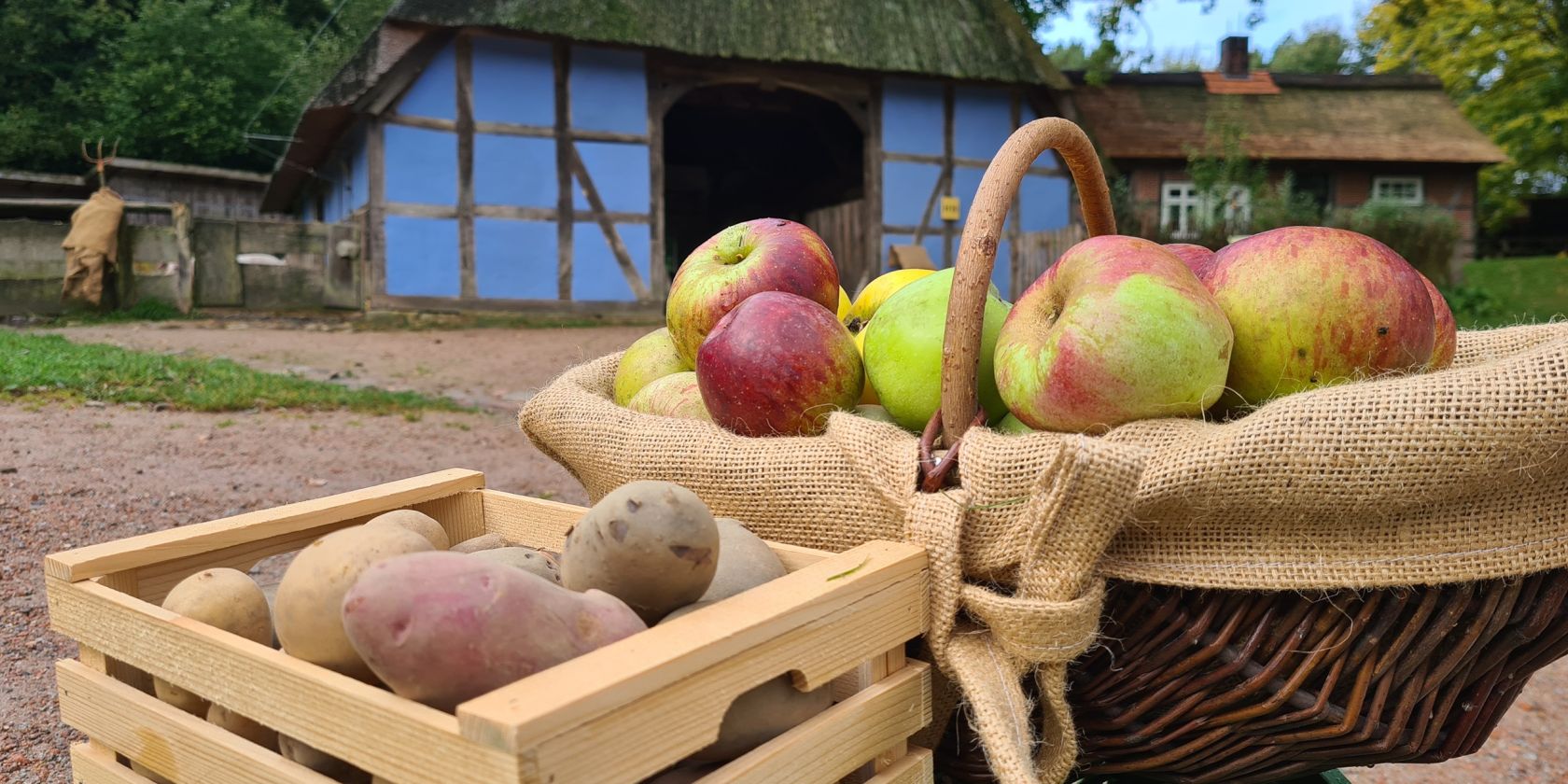 "Apfel- und Kartoffeltag" im Freilichtmuseum am Kiekeberg, &copy; Freilichtmuseum am Kiekeberg