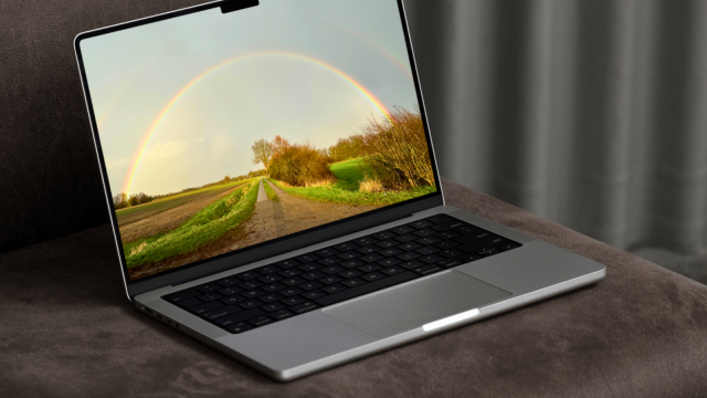 2511_w1x1_digital_blank, © Sigrun Kreiser; Mockup: Canva