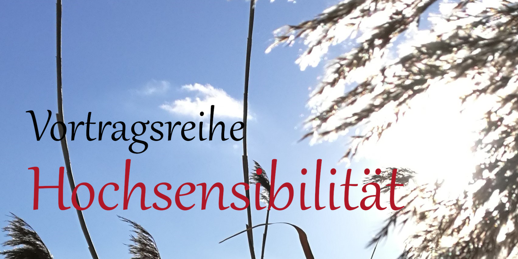 Schilf gerade - nur Himmel - quadrat links 03, © Cord Röpken