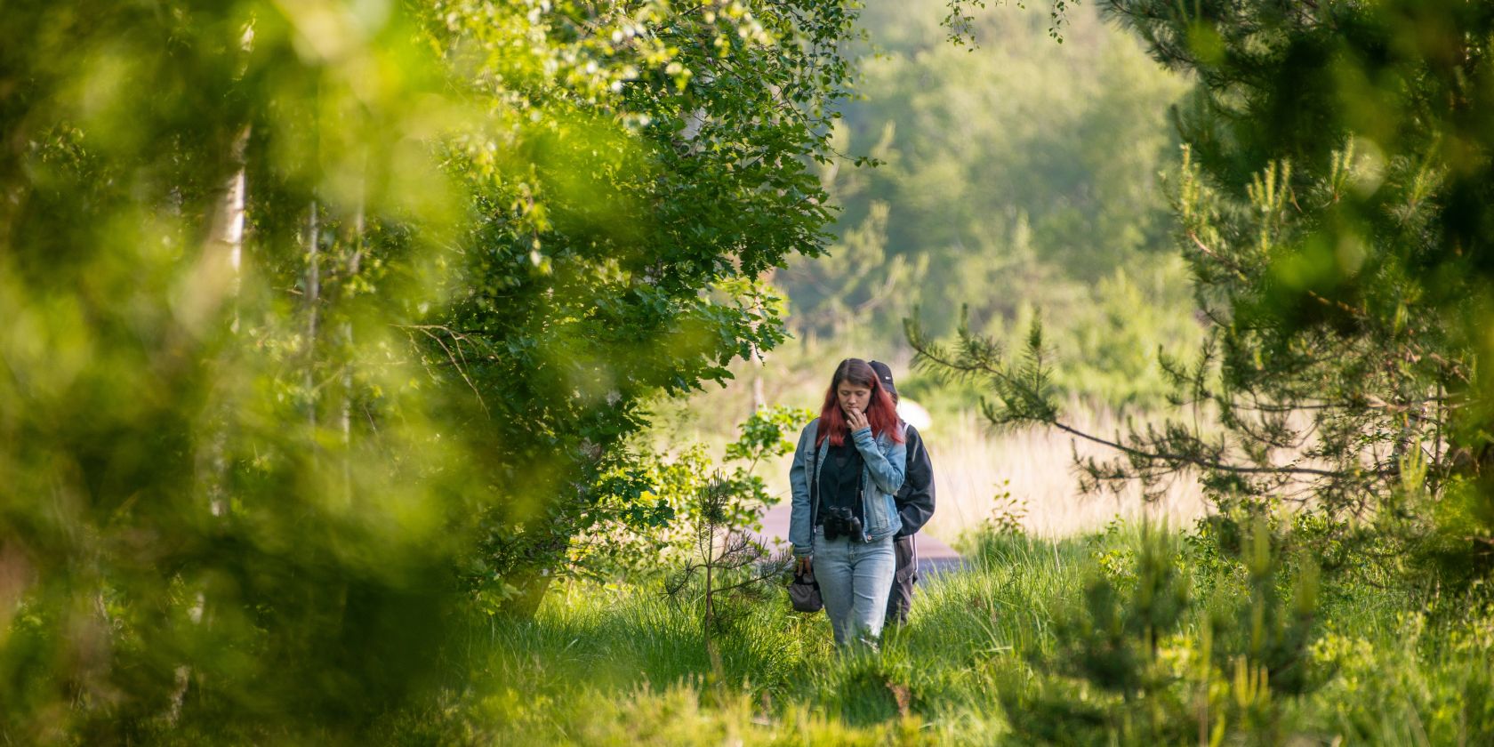 Ahlenmoorwanderung, &copy; J. Matzke