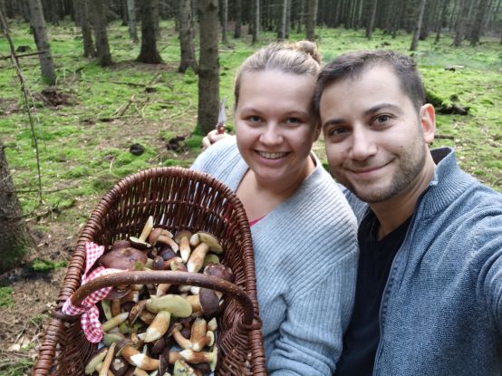 Pilzwanderung Hamburg, Pilzkorb nach Pilzführung im Wald, © Mehmet Cuker