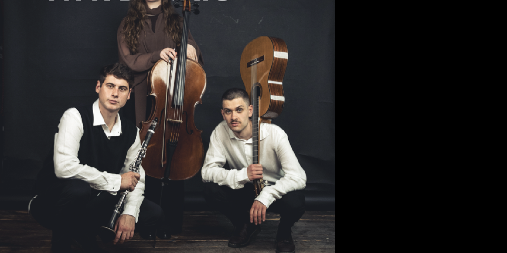 Ticket Cover.003, &copy; 2025 WaveTrio