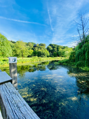 Achtsamkeit im Kurpark: Der stille Morgen, © Jessica Lange
