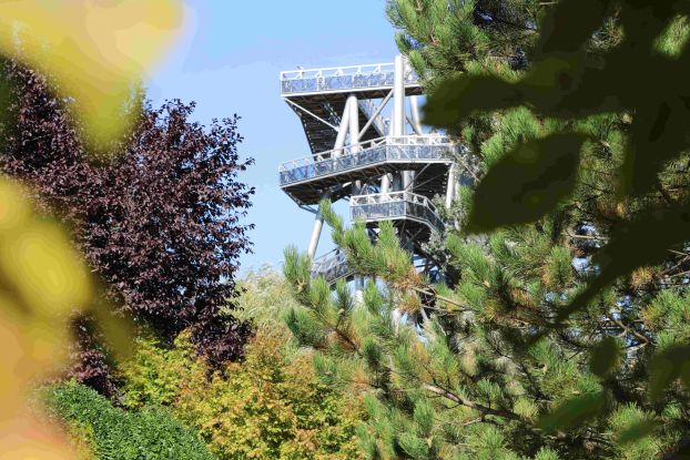 DGT 5 &copy; DIE GARTEN TULLN_A. Buchinger, &copy; DIE GARTEN TULLN_A. Buchinger