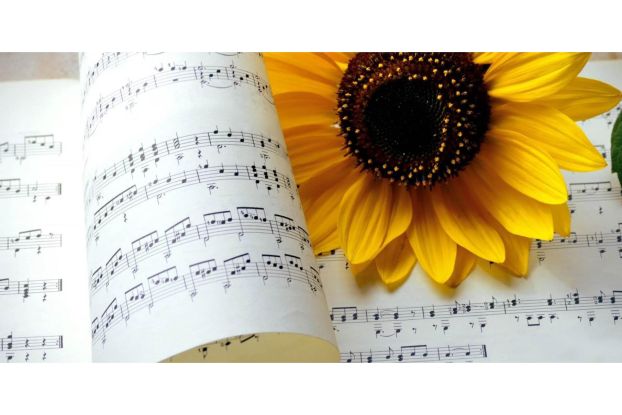 Summer concert, &copy; VHS