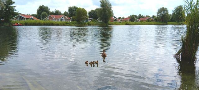 Jahreszeiten-Spaziergang f&uuml;r Trauernde, &copy; Hospizgruppe Land Hadeln e. V.