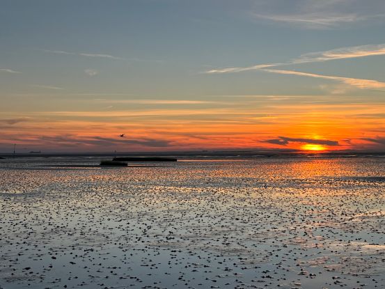 Abendwattwanderung, © NPH