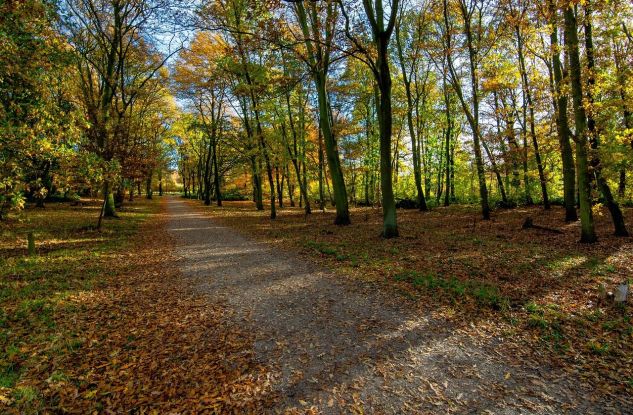 Bild von Tim Hill auf Pixabay, © Bild von Tim Hill auf Pixabay